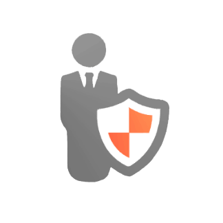 Icon security-audit